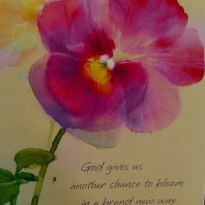 Meet your Posher, Tammy